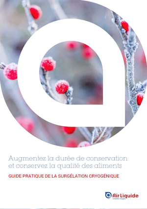 ebook Cryogénie alimentaire