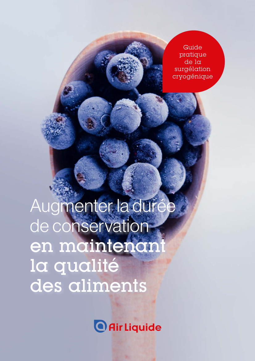 ebook Équipement de surgélation cryogénique