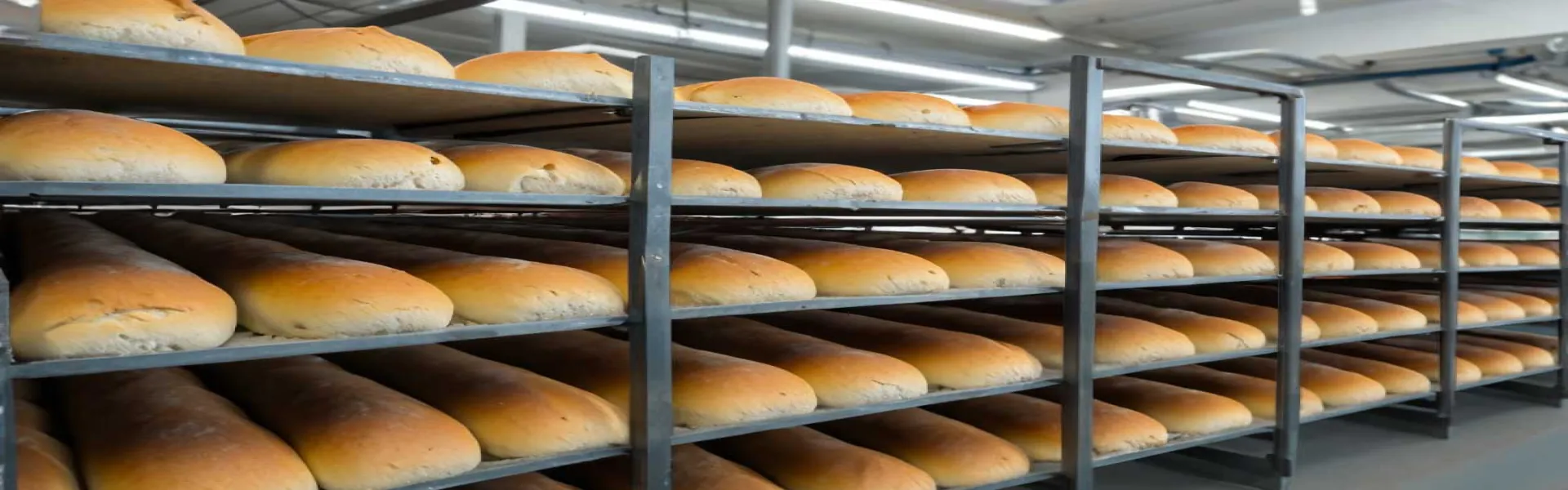 Produits de la pâte