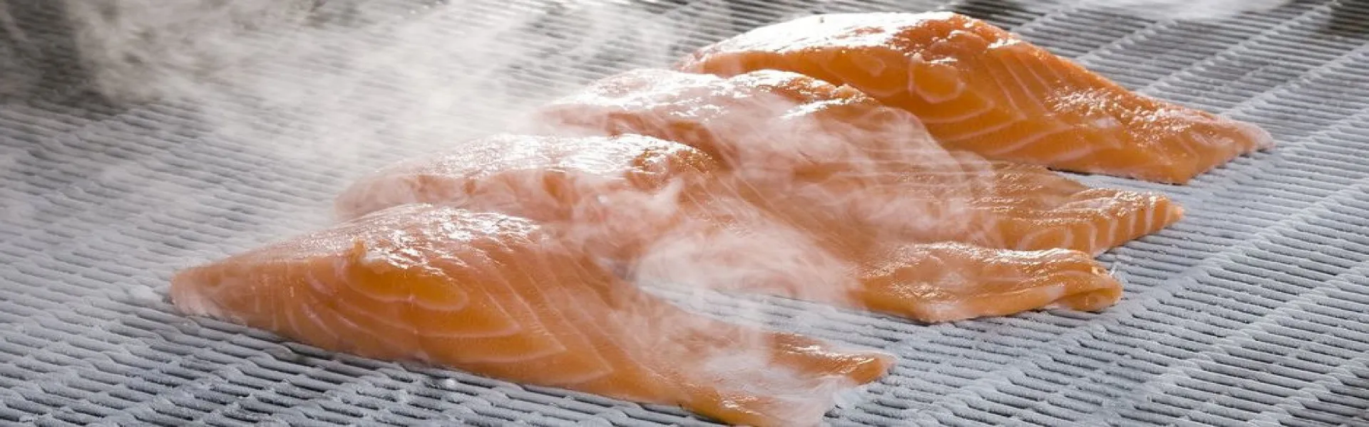 Solución de congelación criogénica rápida y natural de alimentos