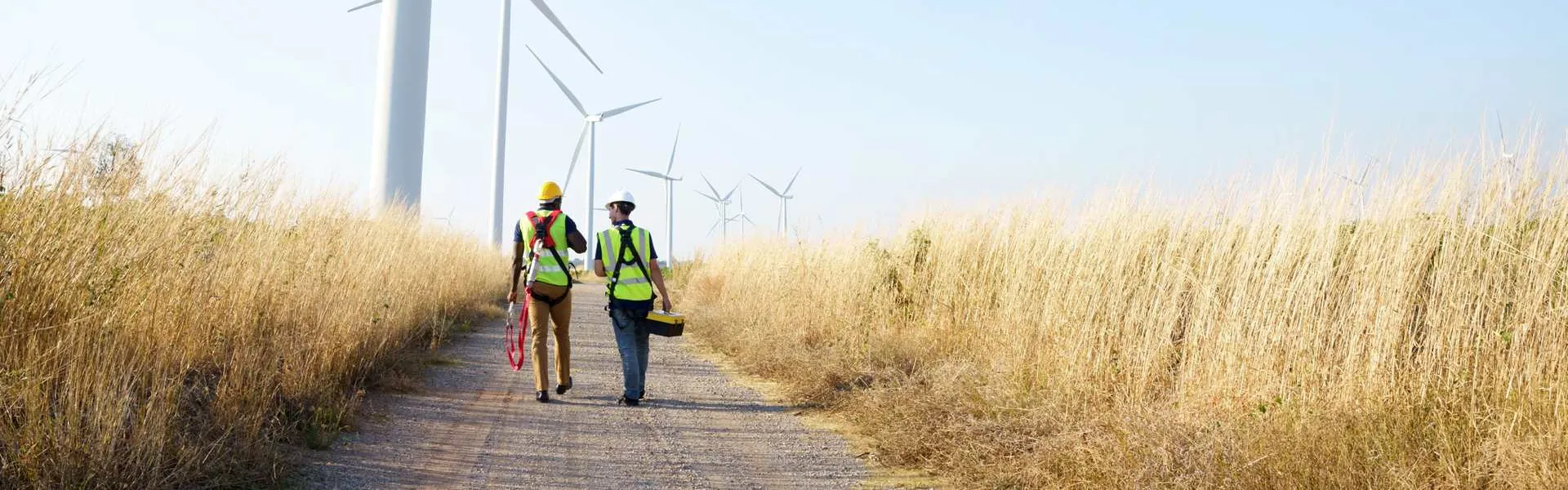 Deux travailleurs experts devant des éoliennes onshore dans un champ de blé