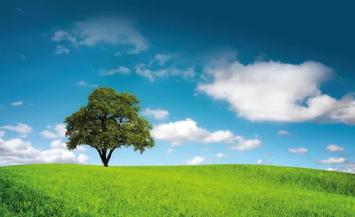 Empreinte carbone et coûts d'exploitation