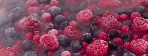 Venez découvrir nos dernières innovations au salon CFIA du 7 au 9 mars à Rennes Hall 2 stand F11