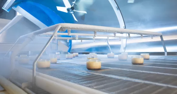 Cryogénie alimentaire chaine de production et équipements