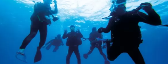 Fourniture de gaz de plongée