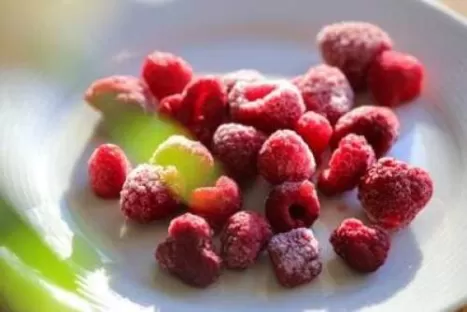Production alimentaire