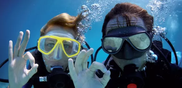 Diving gases