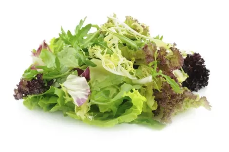 Conditionnement sous atmosphère modifiée