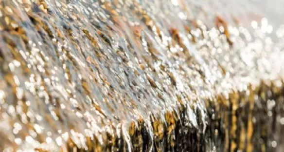 Wasser-pH-Wert Einstellung durch Nexelia