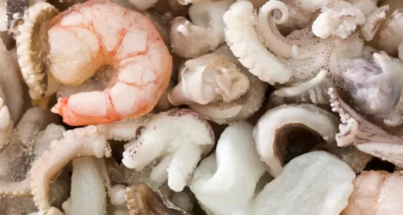 Food Cryo - Fruits de mer - Poisson