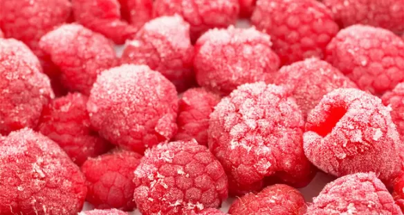 Industries alimentaires - Cryogénie alimentaire