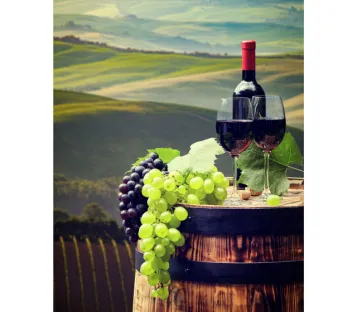 Maîtrise des gaz dissous : préserver la qualité du vin, de la vigne à la bouteille