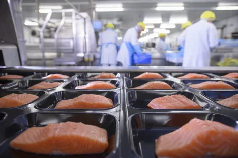 Applications de l'oxygène dans les marchés Food et Pharma - M.A.P. - Salmons