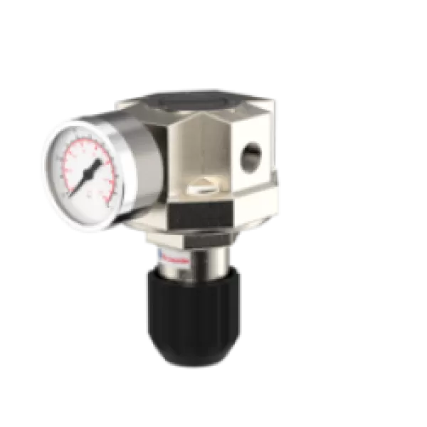 DCN300 Food Equipment