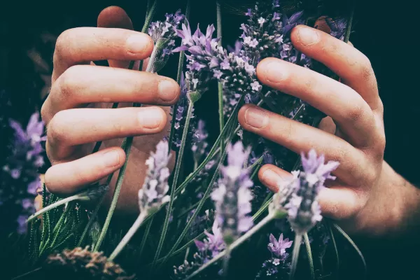 ingredients_aromas