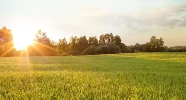 Air Liquide signe un contrat pour l’achat de CO2 bio-sourcé en Bretagne