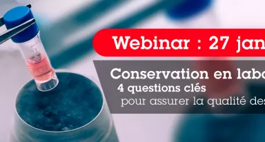 Webinar-Presentation