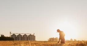 Air Liquide France Industrie annonce l’obtention de l’Autorisation de Mise sur le Marché en France pour son nouveau produit CO2 BIOPROTECTION - AMM numéro 2239996 conformément au règlement CE 1107/2009.