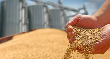 Solution CO2 bioprotection
