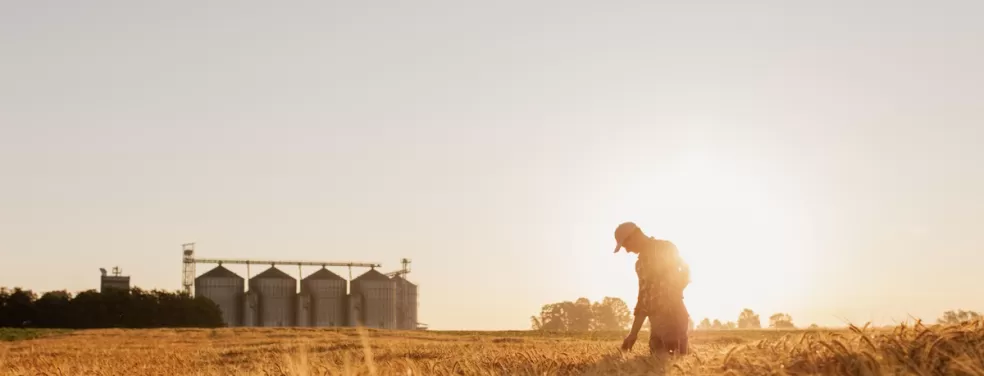 Air Liquide France Industrie annonce l’obtention de l’Autorisation de Mise sur le Marché en France pour son nouveau produit CO2 BIOPROTECTION - AMM numéro 2239996 conformément au règlement CE 1107/2009.