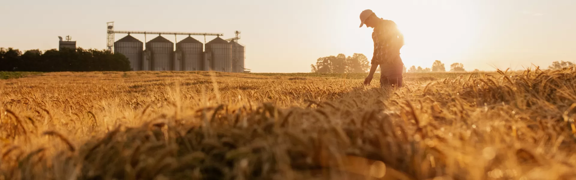 CO₂ BIOPROTECTION: la solution naturelle de désinsectisation