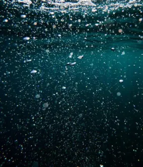 Traitement biologique