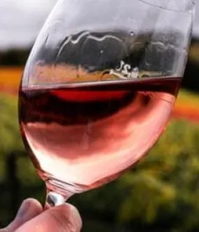 Solutions pour l'industrie des vins et spiritueux