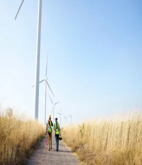 Deux travailleurs experts devant des éoliennes onshore dans un champ de blé
