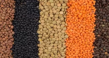 CO₂ BIOPROTECTION