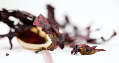 ingredients_algae_Air Liquide