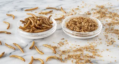 ingredients_insects_Air Liquide