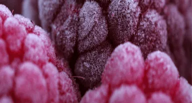 Cryogénie: congélation, refroidissement, et surgélation des aliments