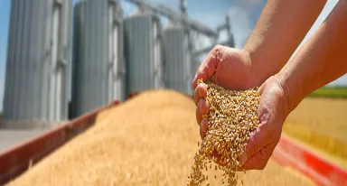 Protégez vos stocks : Webinar CO2 BIOPROTECTION