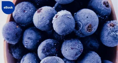 eBook - Augmenter la durée de conservation en maintenant la qualité des aliments