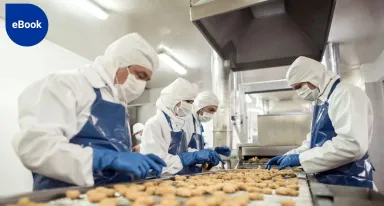 eBook - Guide Technique : tout comprendre sur l’installation gaz pour le conditionnement sous atmosphère (M.A.P.)